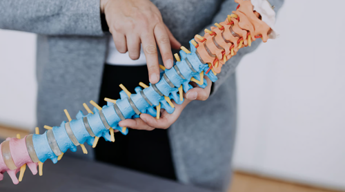 IONM in spinal surgery | EN Link: Schulung von ARKANA